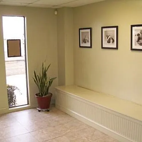 Highway 92 Animal Hospital's waiting room for dogs with a plant